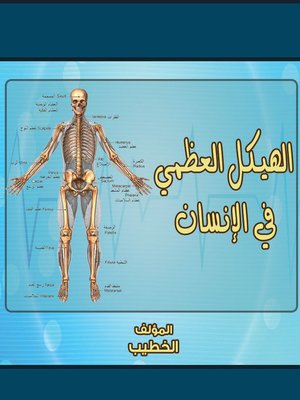 cover image of الهيكل العظمي في الإنسان